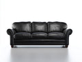 Canapé 3 places - cuir - 205x92x88 cm - noir - contemporain élégant